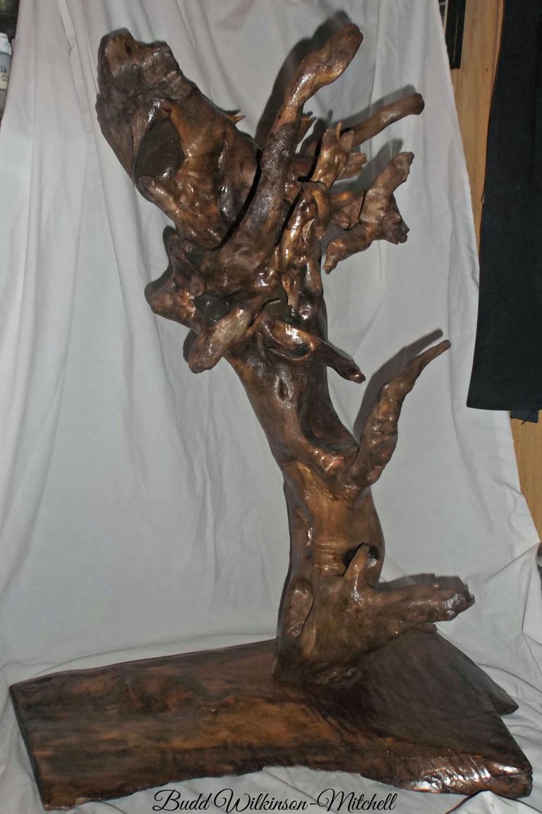 Roots 2015 32x22x15 Inch Tree Root Embedded with Ten Rocks on Burl Base.jpg