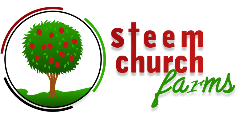 steem church farm 3.png