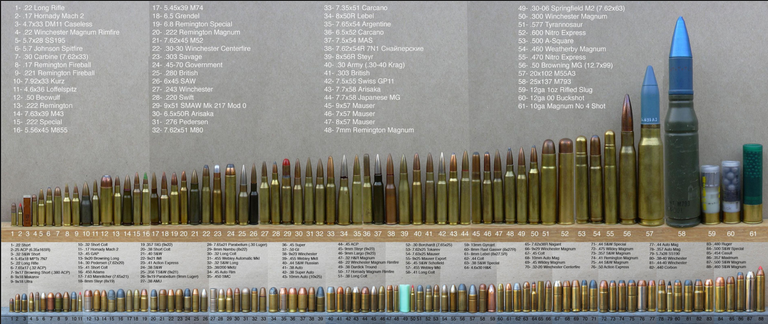 rifle rounds.PNG