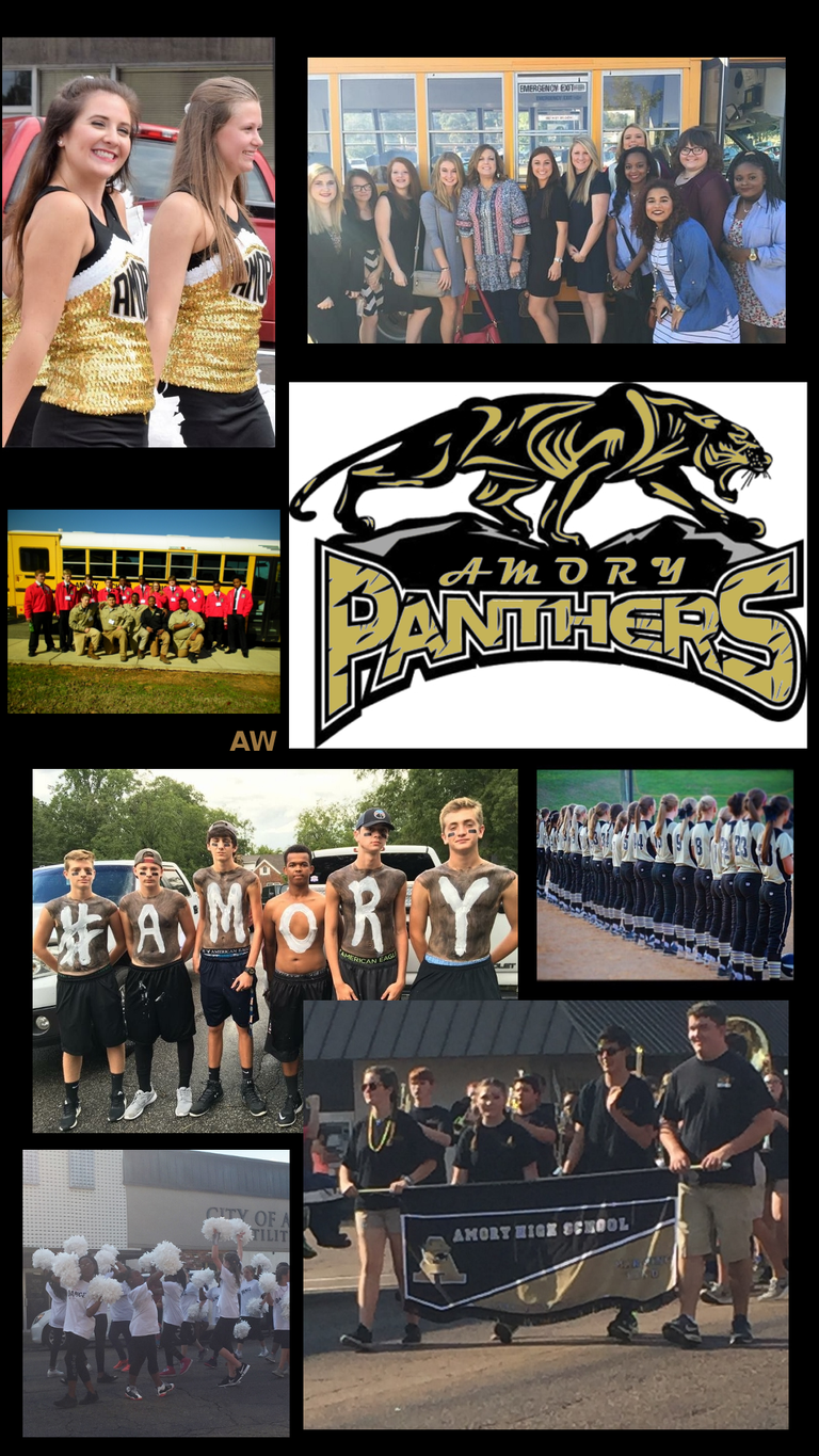 Amory__Panthers.png