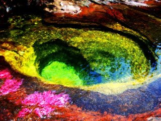 cano-cristales9.jpg