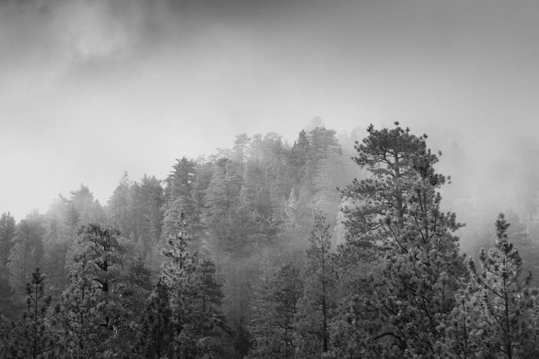 _MG_4846.jpg
