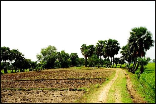 villageinburdwan.jpg