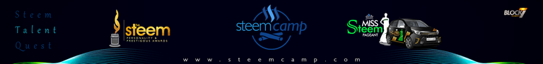 steem slide1r.png