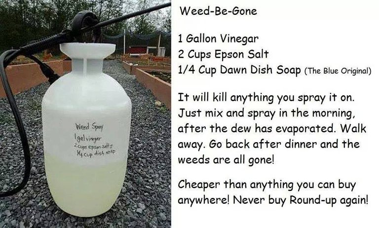 How-To-Make-DIY-Weed-Killer-200100da.jpg