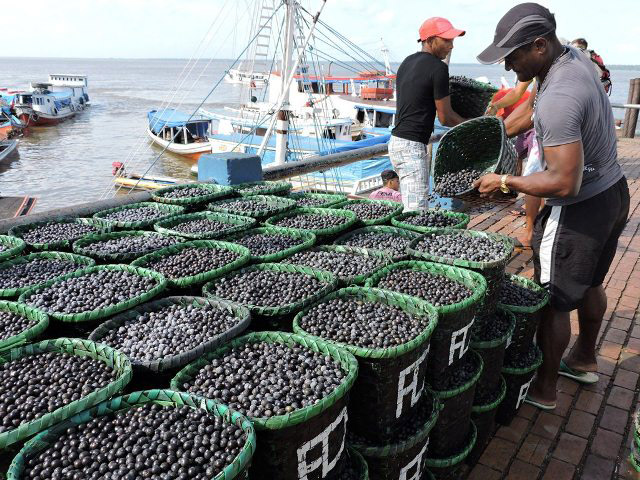 Porto de Icoaraci, carregamento de Açaí