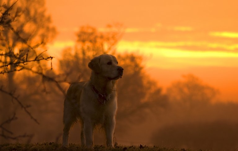 Kaz at sunrise 800.jpg