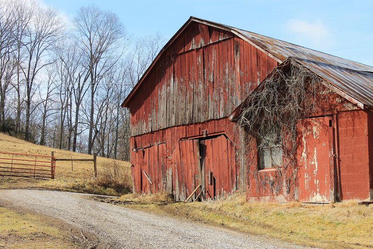 Country Barn 2.jpg