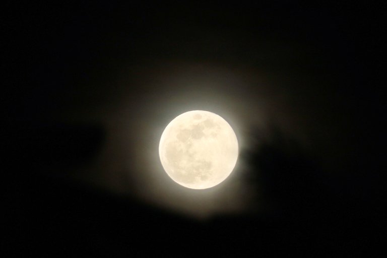 moonsilhouette.jpg