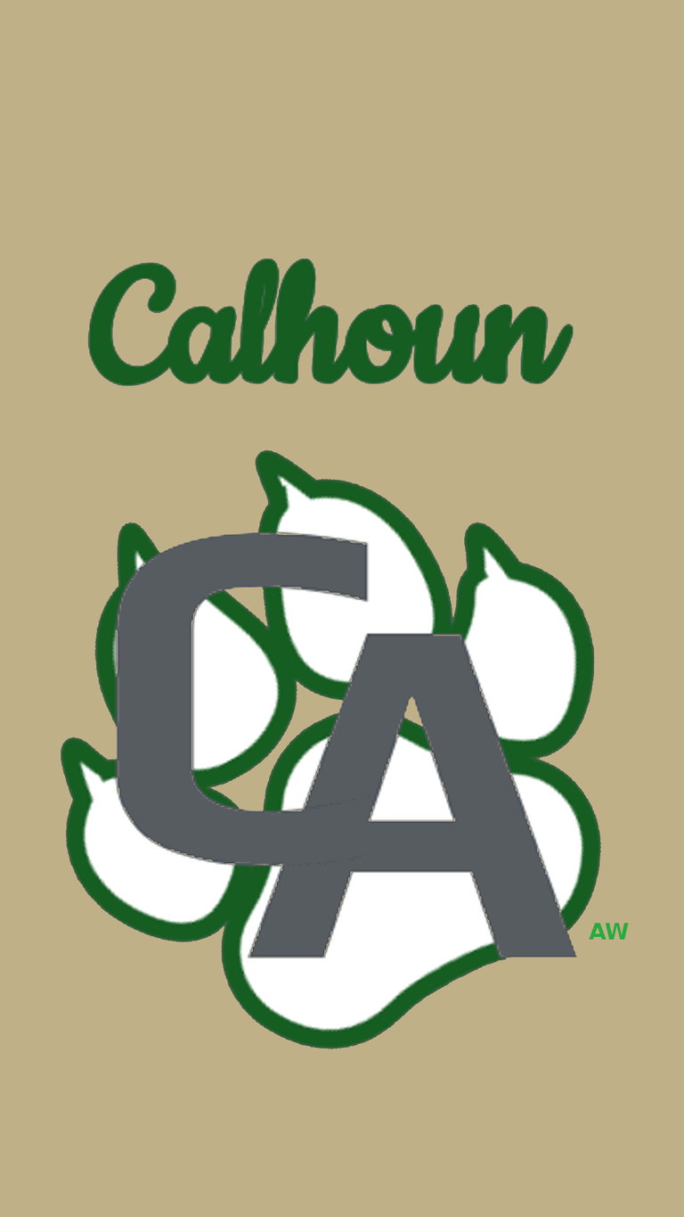 Calhoun__Academy.png