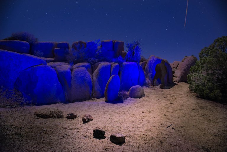 joshua-tree---camping_16244160830_o.jpg