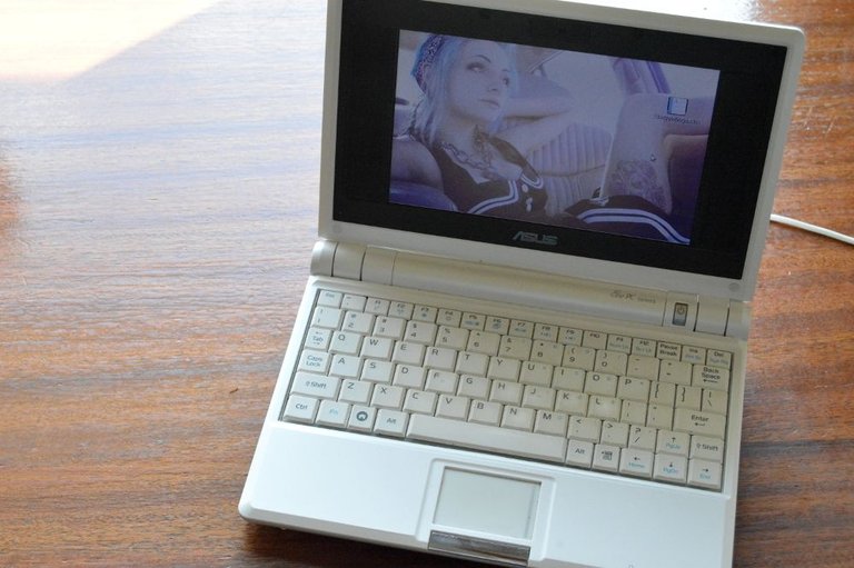 AsusNetbook.jpg