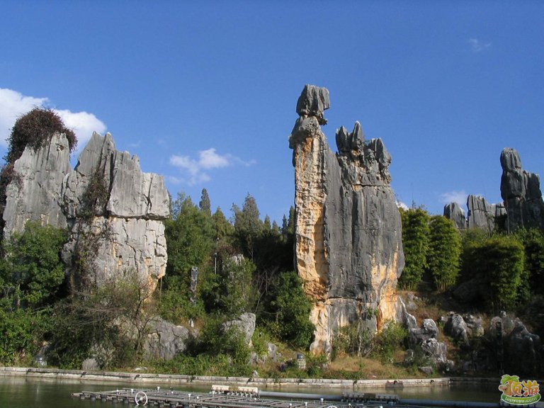 Stone Forest.jpg