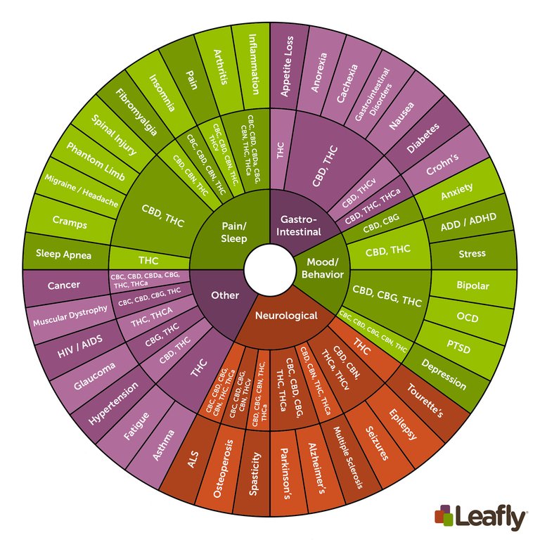 CRqvGHvVRejee20hG20h_Cannabinoids-Infographic-English.jpg