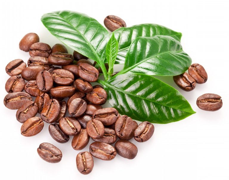 Coffee_Bean_Extract.jpg