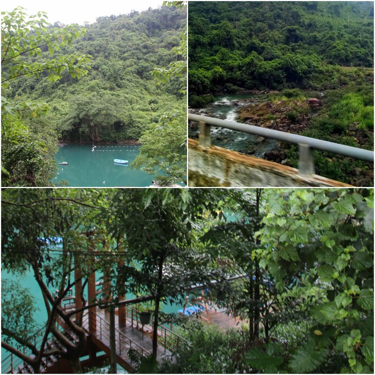 Blue water Collage.jpg