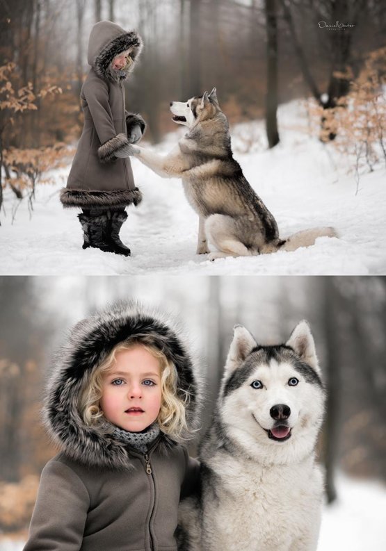 this-girl-and-her-husky-in-the-snow-beautiful_preview.jpg