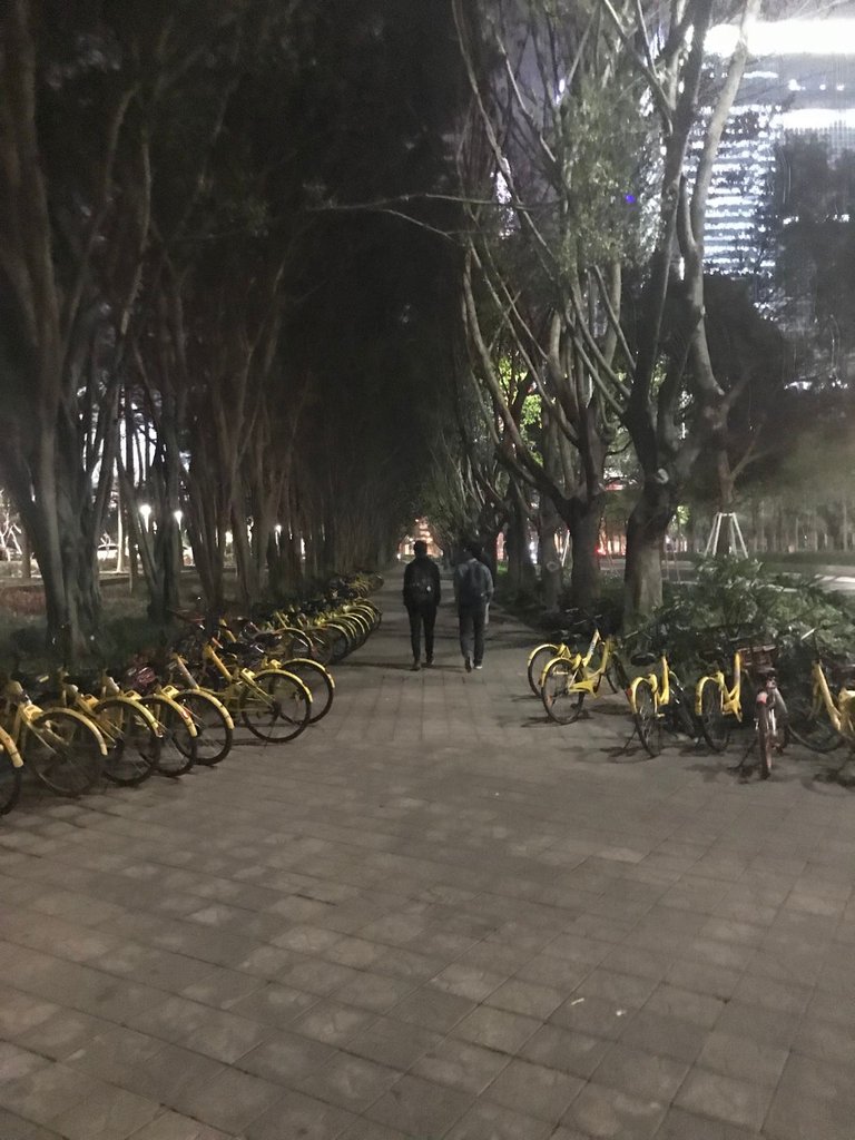 shenzhen bike street.jpg