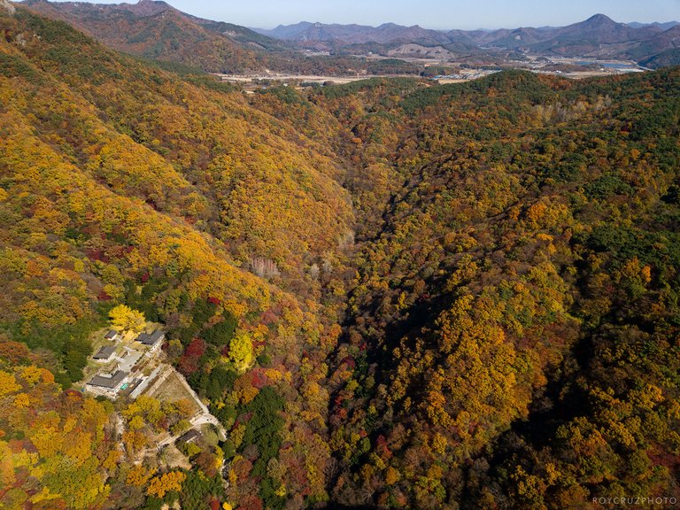 Naejangsan Autumn B-18.jpg