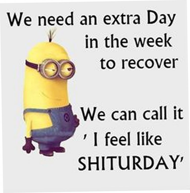 Minion Quotes 15.jpg