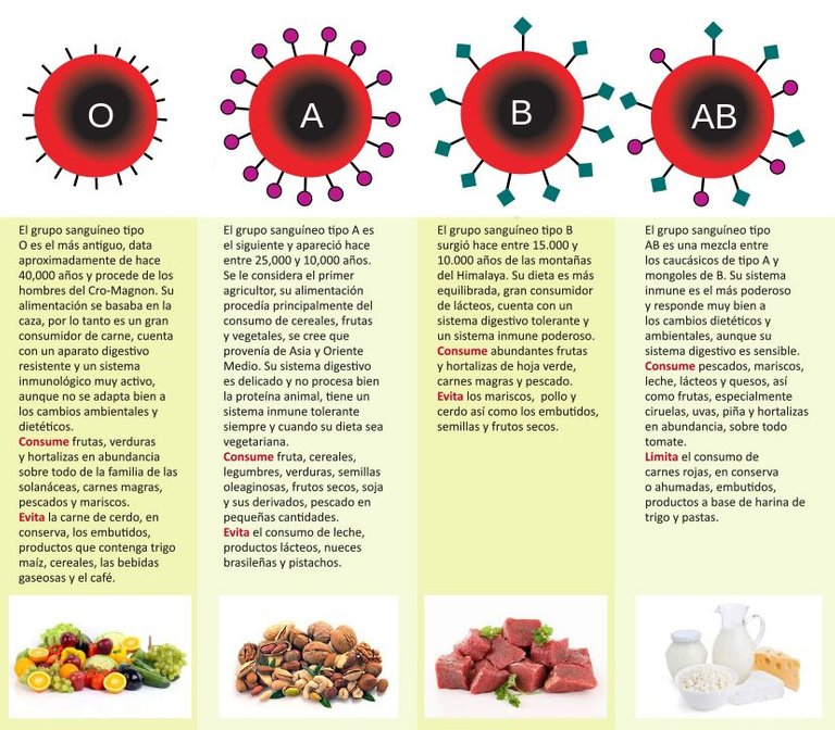 alimentacion-segun-tipo-de_sangre.jpg