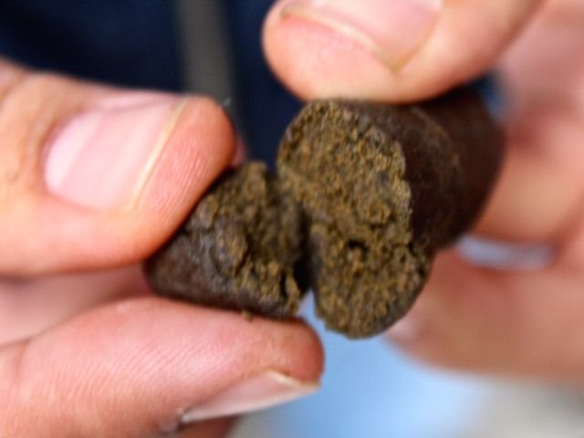 droga_hashish_marijuana_canna_generica_archivio_3.jpg