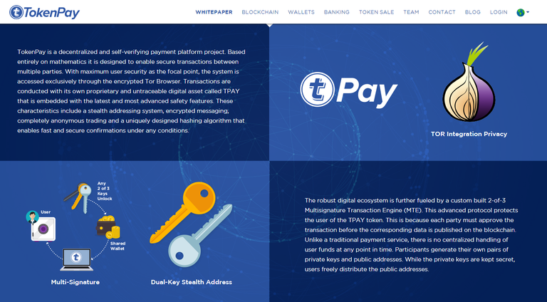 Tokenpay -solution.png