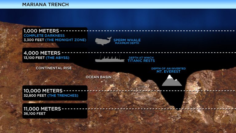 120228085332-mariana-trench-diagram-horizontal-large-gallery.jpg