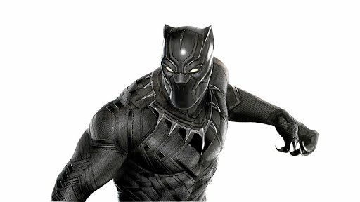 black panther.jpg