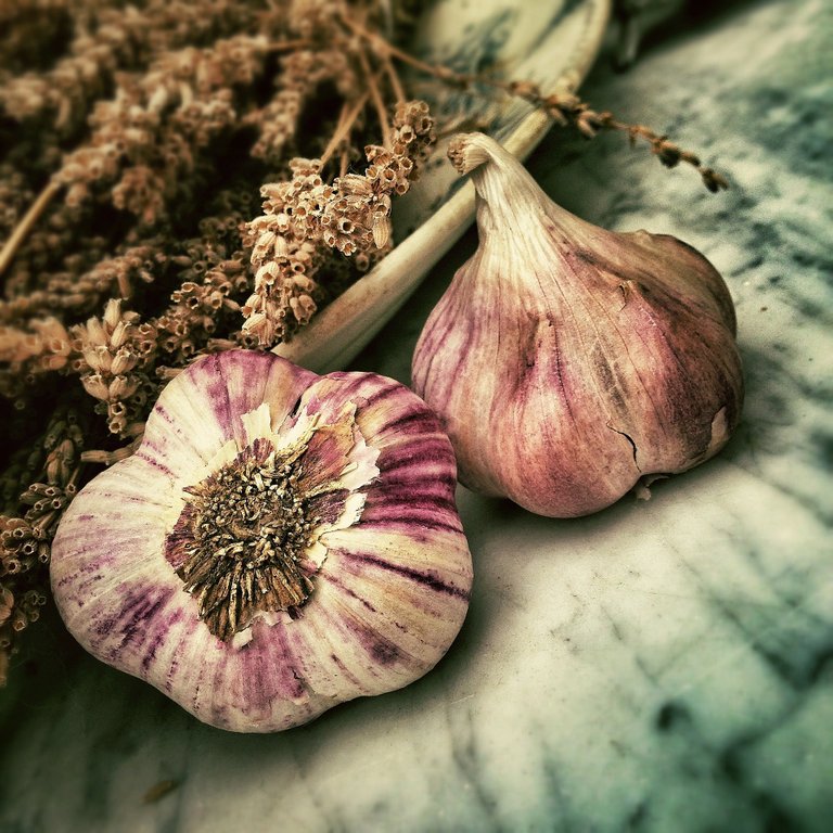 garlic-139659_1920.jpg