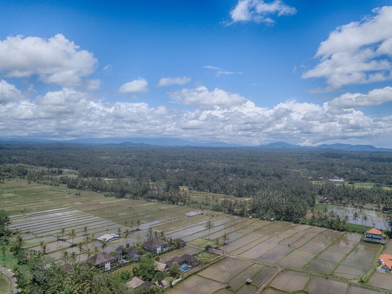 DJI_0042_HDR.jpg