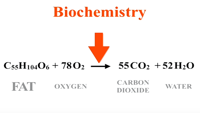 biochem.PNG