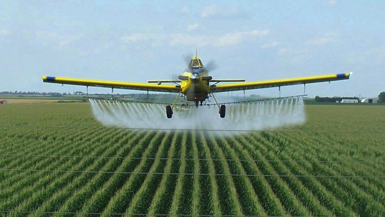 crop duster.jpg