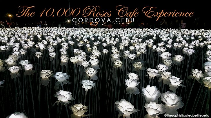 the-sophisticated-petite-bella-the-10k-roses-experience.jpg