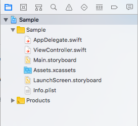 Single View Application Template Files - Priya Talreja Xcode Tutorials