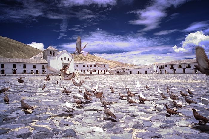 villa_de_leyva_plaza_pigeons_infrared_small1.jpg