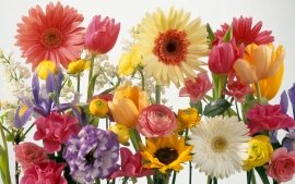 239_springtime_arrangement-t1.jpg