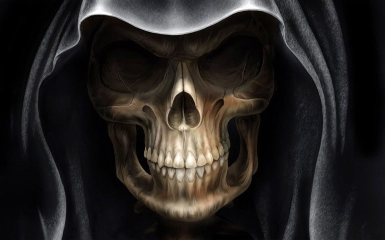 Skull-905x566.jpg