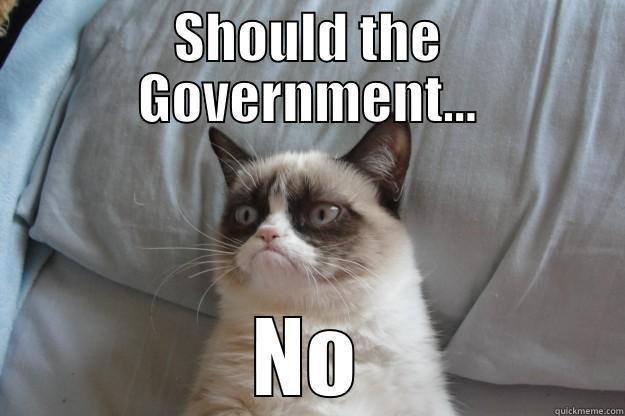 Grumpy Cat on Government.jpg