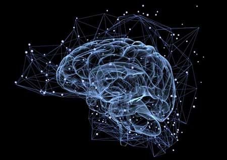 consciousness216.jpg