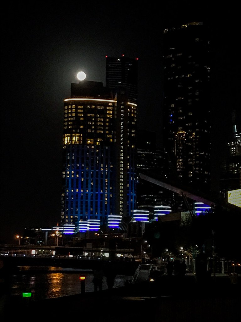 blue moon-1.jpg