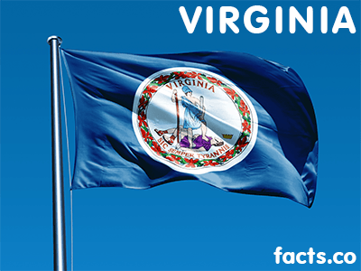 virginiaflag.png