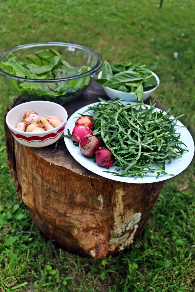 garden veggies.jpg