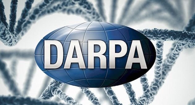 DARPA-Gene.jpg