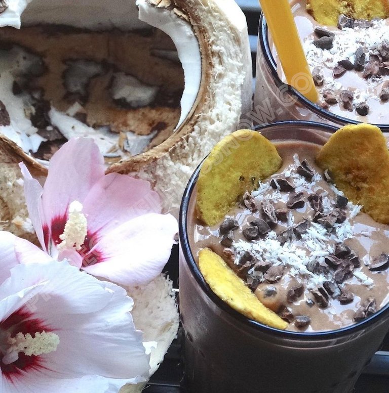 chocolate coconut banana smoothie.jpg