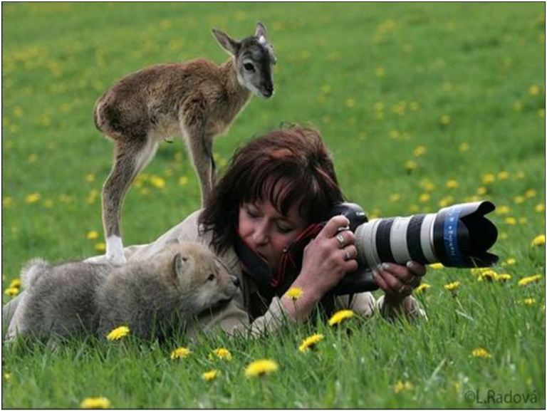 ANIMALS APPROACH PHOTOGRAPHER.png