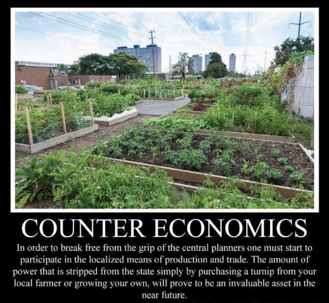 counter economics.jpg