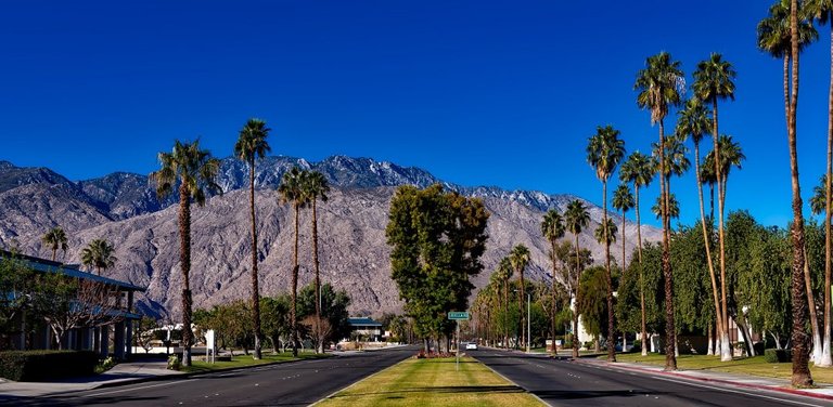 palm-springs-1587288_1920-1080x529.jpg