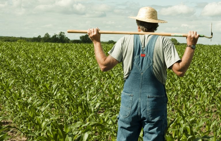 farmer-19050.jpg