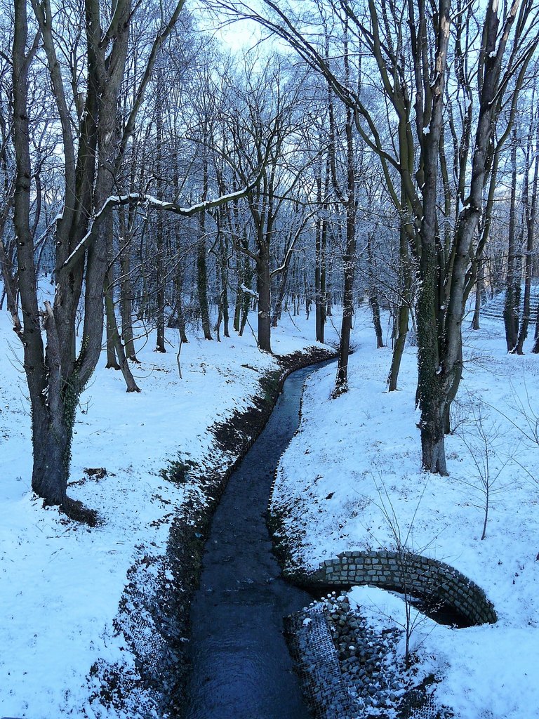 winter-1987641_1920.jpg